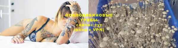 каннабис Красноперекопск