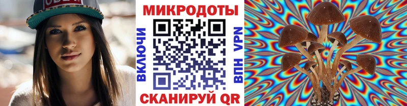shop как зайти Сафоново Галлюциногенные грибы Psilocybe